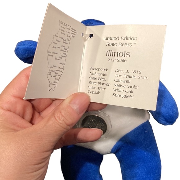 Pish Toys Illinois Limited Edition State Bear 9" - Picture 3 of 7